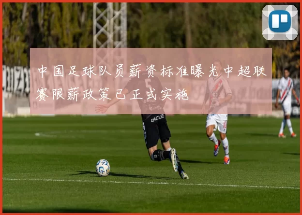 中国足球队员薪资标准曝光中超联赛限薪政策已正式实施