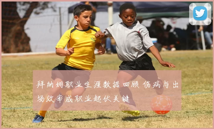 拜纳姆职业生涯数据回顾 伤病与出场效率成职业起伏关键