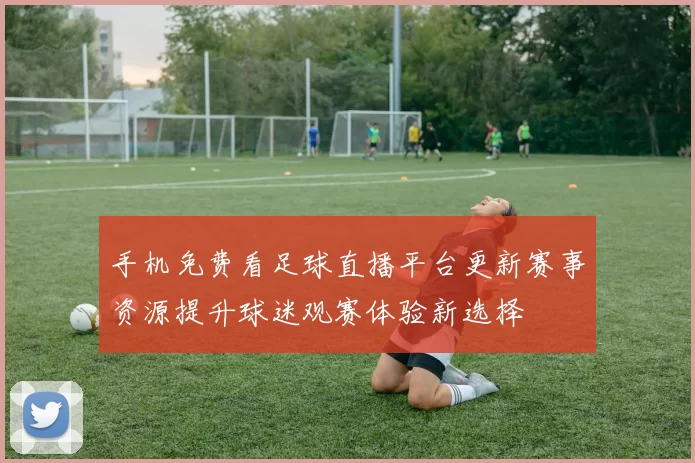 手机免费看足球直播平台更新赛事资源提升球迷观赛体验新选择