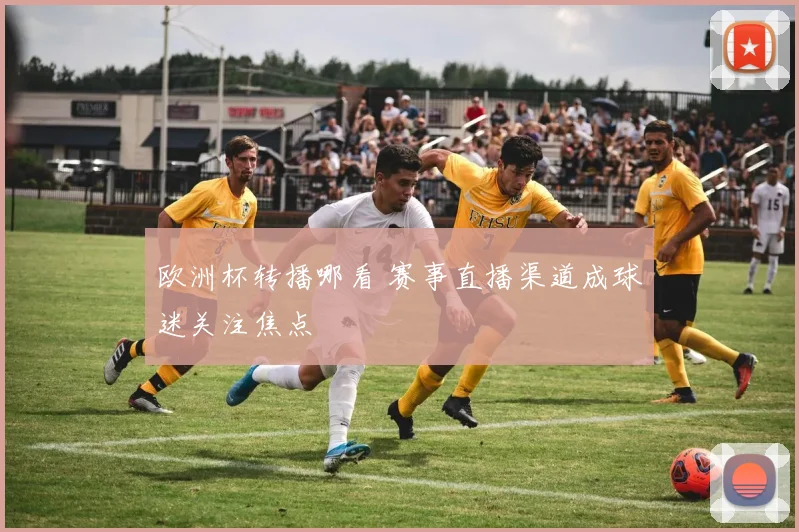 欧洲杯转播哪看 赛事直播渠道成球迷关注焦点