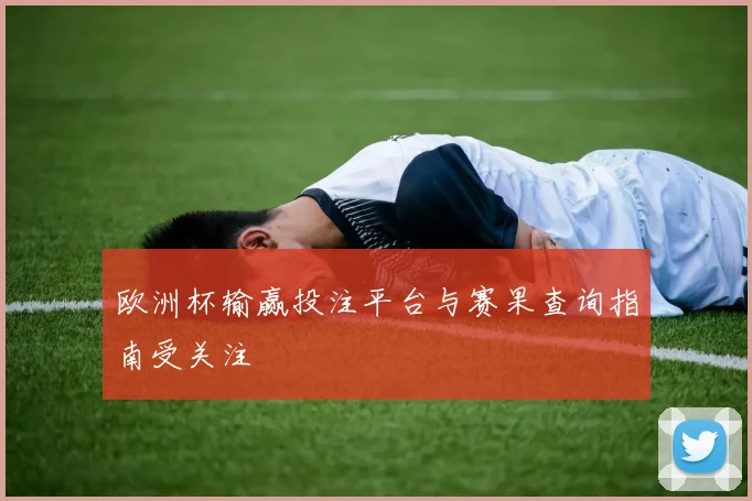 欧洲杯输赢投注平台与赛果查询指南受关注