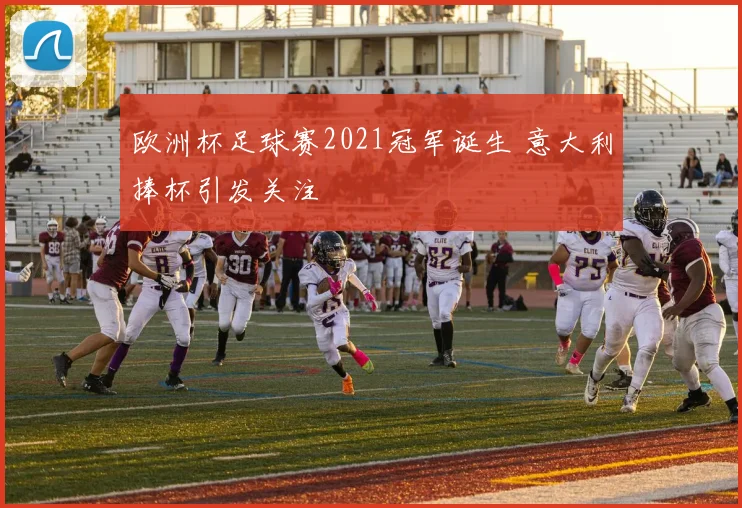 欧洲杯足球赛2021冠军诞生 意大利捧杯引发关注