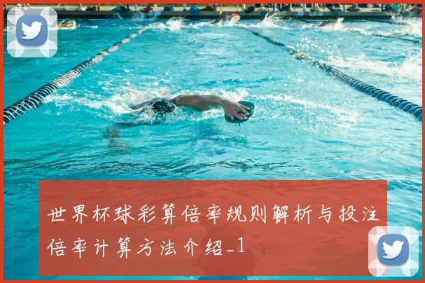 世界杯球彩算倍率规则解析与投注倍率计算方法介绍_1